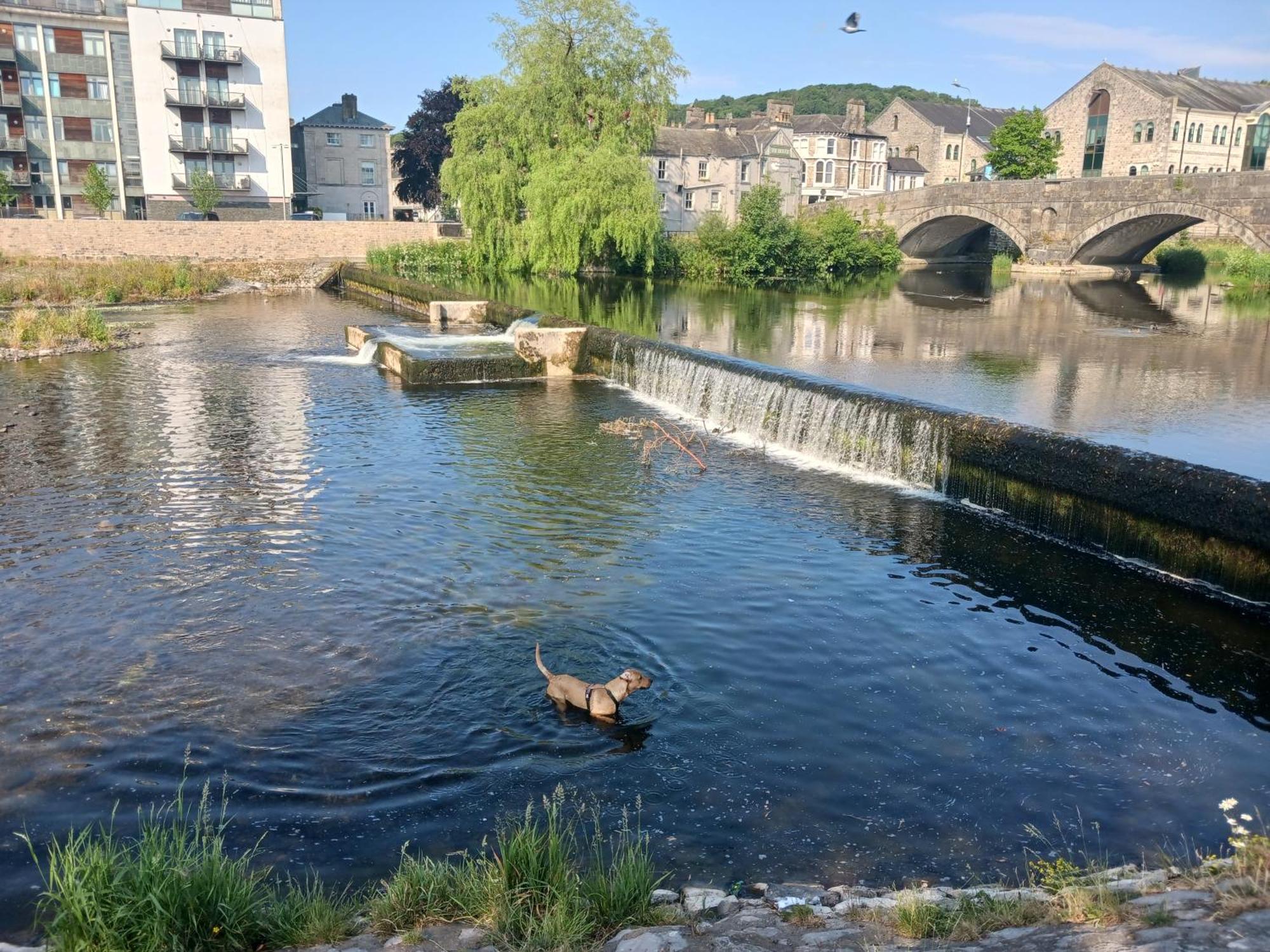 Arthurs Cottage -Charming Courtyard Cottage In The Heart Of Kendal, The Lake District Exteriér fotografie